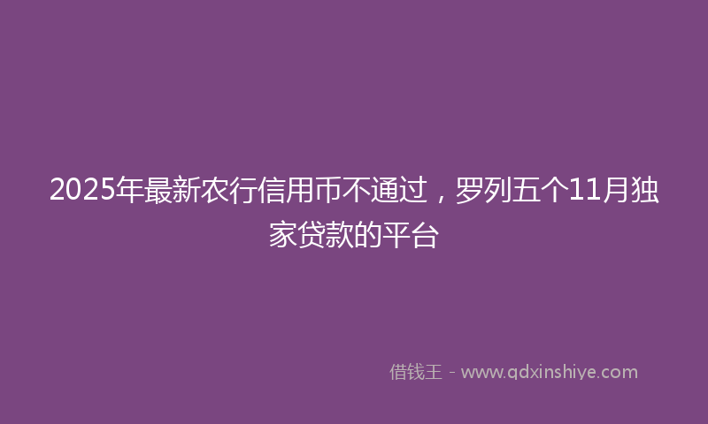 2025年最新农行信用币不通过，罗列五个11月独家贷款的平台