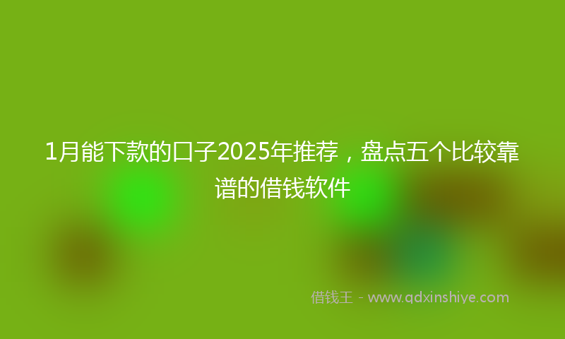 1月能下款的口子2025年推荐，盘点五个比较靠谱的借钱软件