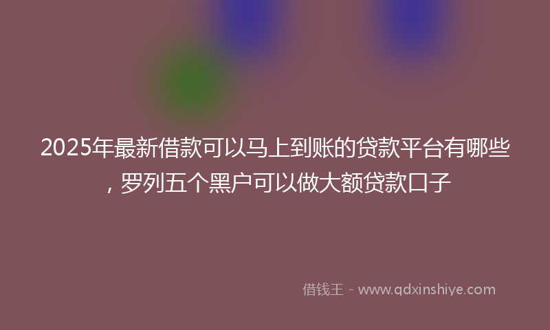 2025年最新借款可以马上到账的贷款平台有哪些，罗列五个黑户可以做大额贷款口子