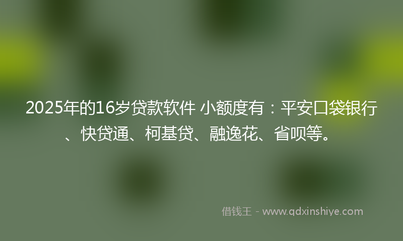 2025年的16岁贷款软件 小额度有：平安口袋银行、快贷通、柯基贷、融逸花、省呗等。
