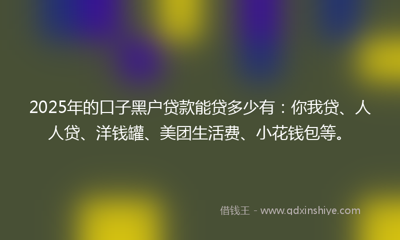 2025年的口子黑户贷款能贷多少有：你我贷、人人贷、洋钱罐、美团生活费、小花钱包等。