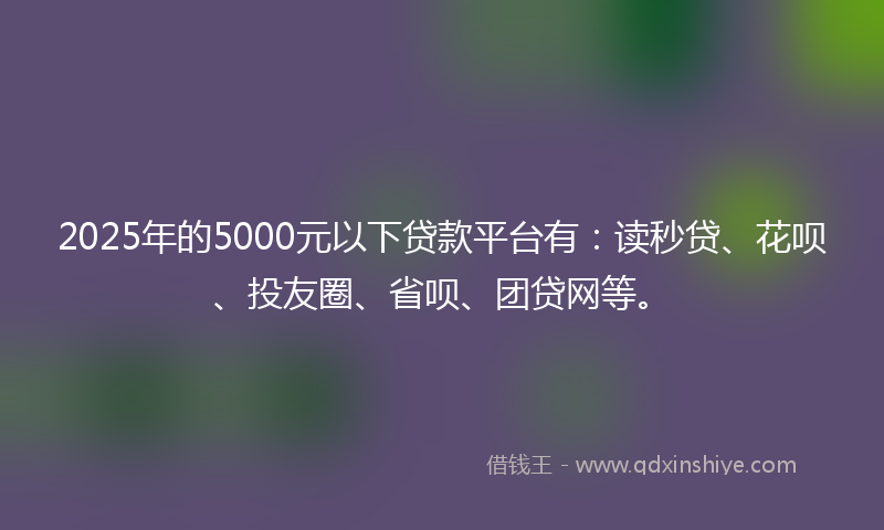 2025年的5000元以下贷款平台有：读秒贷、花呗、投友圈、省呗、团贷网等。