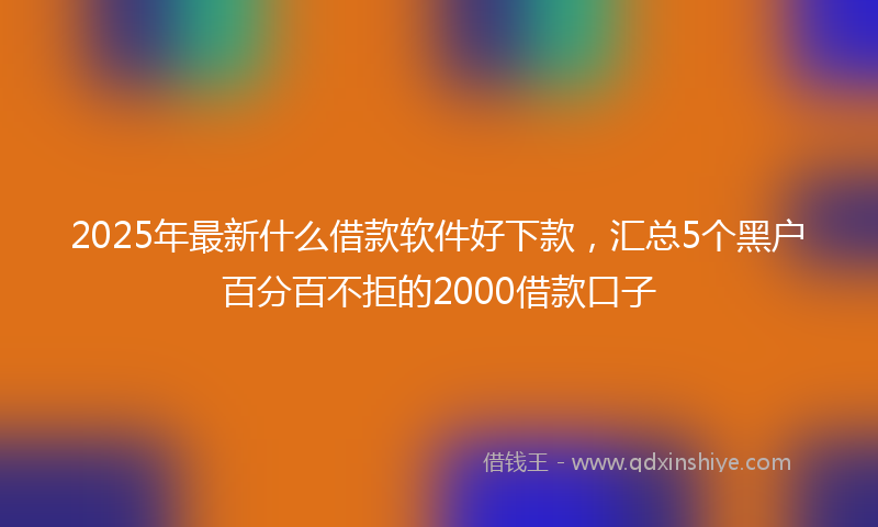 2025年最新什么借款软件好下款，汇总5个黑户百分百不拒的2000借款口子