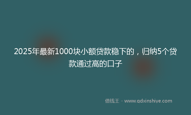 2025年最新1000块小额贷款稳下的，归纳5个贷款通过高的口子