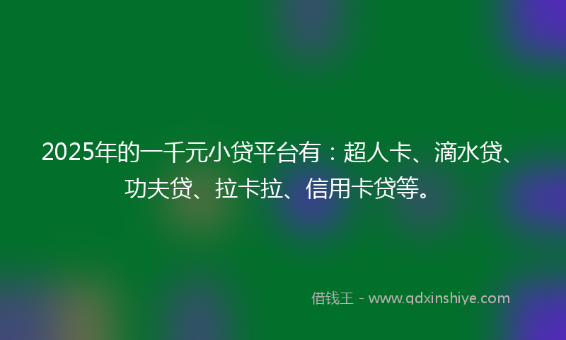 2025年的一千元小贷平台有：超人卡、滴水贷、功夫贷、拉卡拉、信用卡贷等。