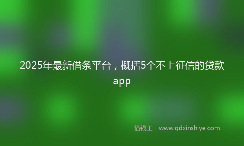 2025年最新借条平台，概括5个不上征信的贷款app