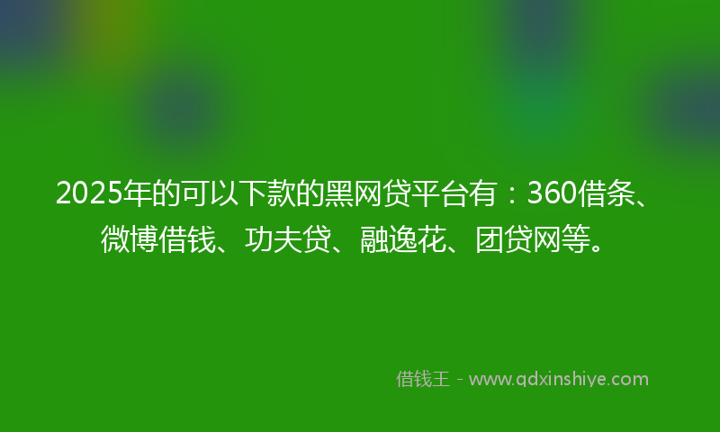2025年的可以下款的黑网贷平台有：360借条、微博借钱、功夫贷、融逸花、团贷网等。