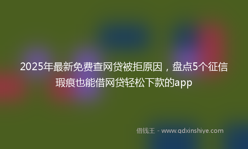 2025年最新免费查网贷被拒原因，盘点5个征信瑕疵也能借网贷轻松下款的app