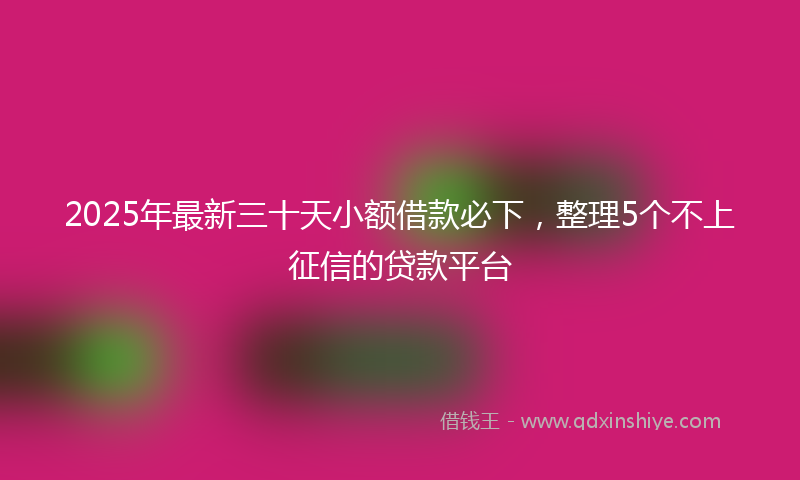 2025年最新三十天小额借款必下，整理5个不上征信的贷款平台