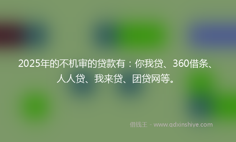 2025年的不机审的贷款有：你我贷、360借条、人人贷、我来贷、团贷网等。