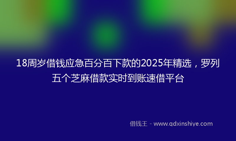 18周岁借钱应急百分百下款的2025年精选，罗列五个芝麻借款实时到账速借平台