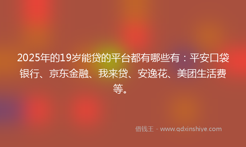 2025年的19岁能贷的平台都有哪些有：平安口袋银行、京东金融、我来贷、安逸花、美团生活费等。