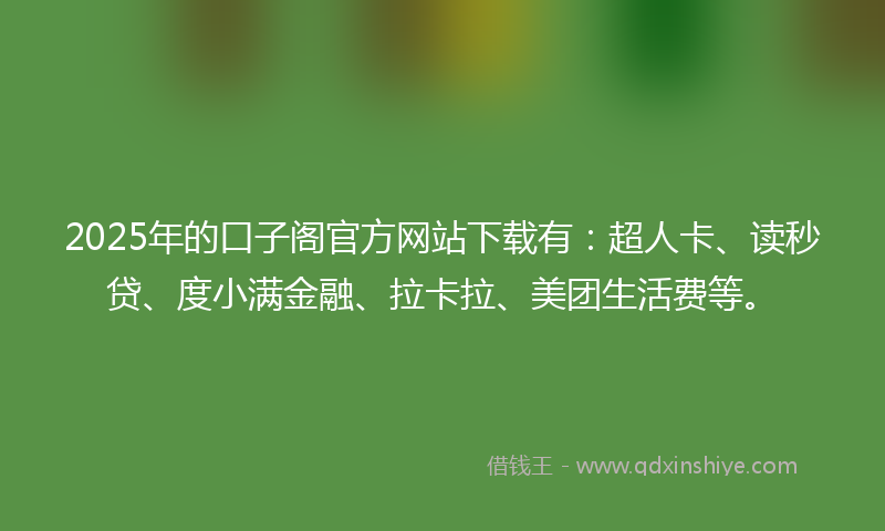 2025年的口子阁官方网站下载有：超人卡、读秒贷、度小满金融、拉卡拉、美团生活费等。