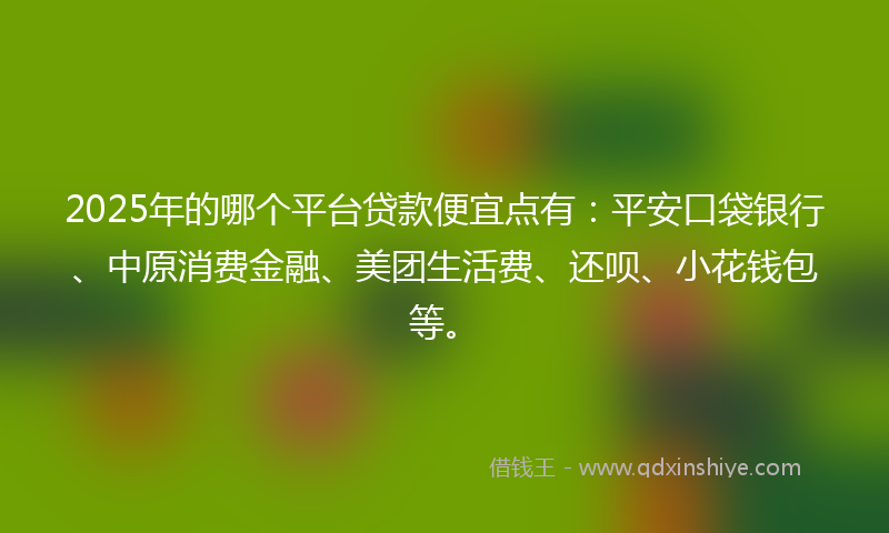 2025年的哪个平台贷款便宜点有：平安口袋银行、中原消费金融、美团生活费、还呗、小花钱包等。