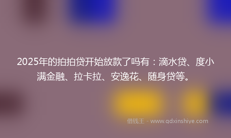 2025年的拍拍贷开始放款了吗有：滴水贷、度小满金融、拉卡拉、安逸花、随身贷等。