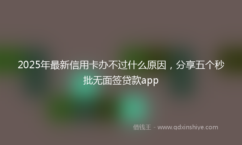 2025年最新信用卡办不过什么原因，分享五个秒批无面签贷款app