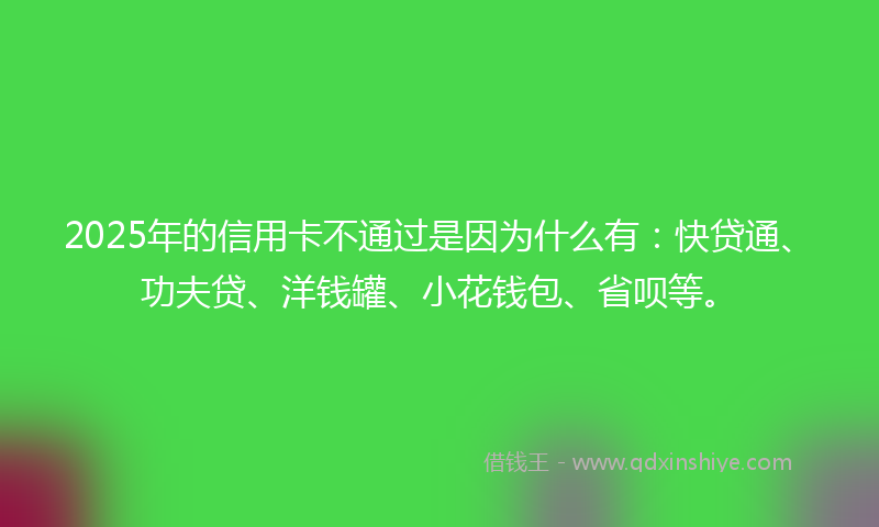 2025年的信用卡不通过是因为什么有：快贷通、功夫贷、洋钱罐、小花钱包、省呗等。