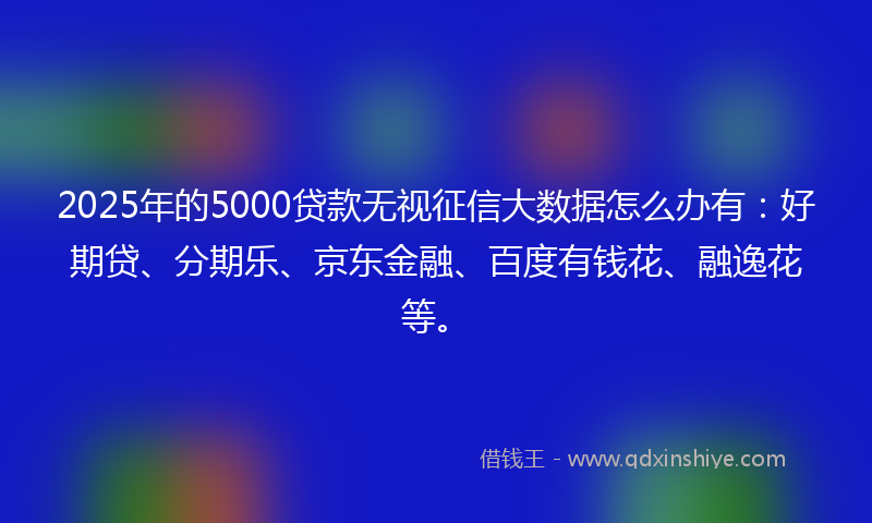 2025年的5000贷款无视征信大数据怎么办有：好期贷、分期乐、京东金融、百度有钱花、融逸花等。