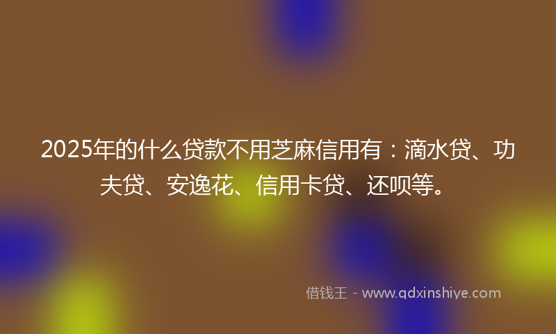 2025年的什么贷款不用芝麻信用有：滴水贷、功夫贷、安逸花、信用卡贷、还呗等。