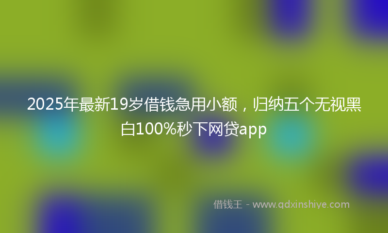 2025年最新19岁借钱急用小额，归纳五个无视黑白100%秒下网贷app
