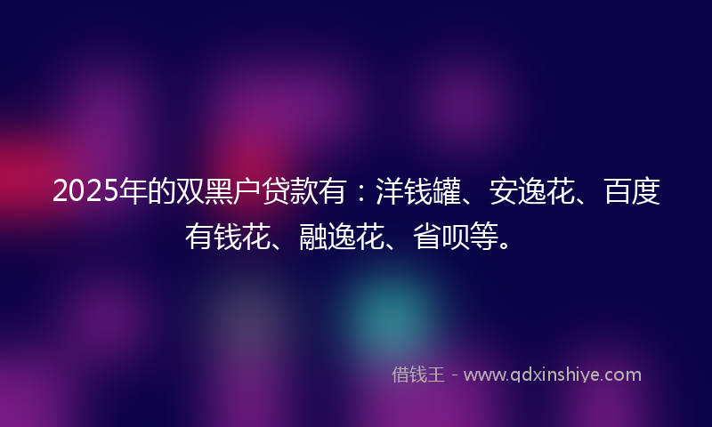 2025年的双黑户贷款有：洋钱罐、安逸花、百度有钱花、融逸花、省呗等。