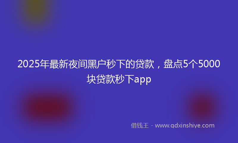 2025年最新夜间黑户秒下的贷款，盘点5个5000块贷款秒下app