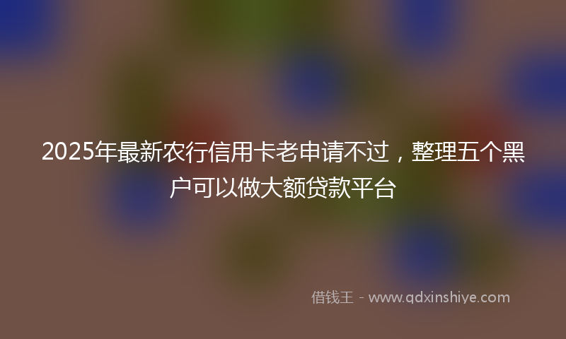 2025年最新农行信用卡老申请不过，整理五个黑户可以做大额贷款平台