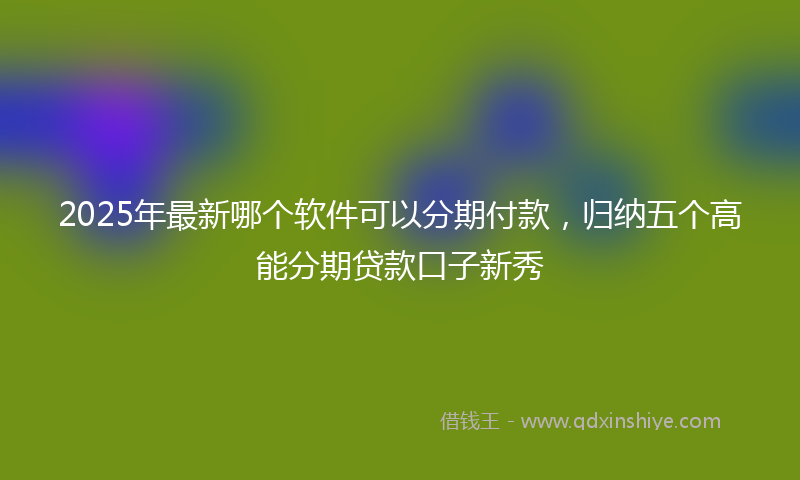 2025年最新哪个软件可以分期付款，归纳五个高能分期贷款口子新秀