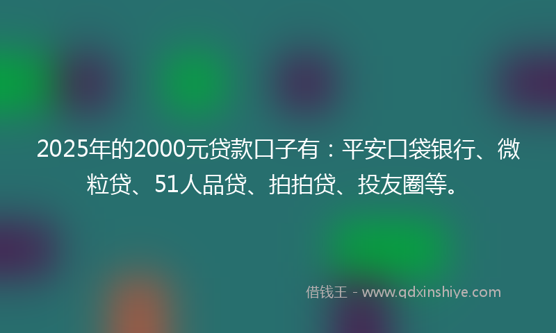 2025年的2000元贷款口子有：平安口袋银行、微粒贷、51人品贷、拍拍贷、投友圈等。
