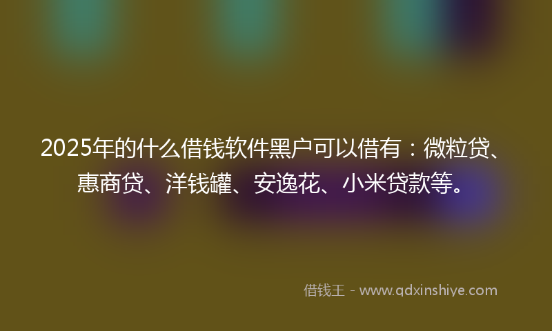 2025年的什么借钱软件黑户可以借有：微粒贷、惠商贷、洋钱罐、安逸花、小米贷款等。