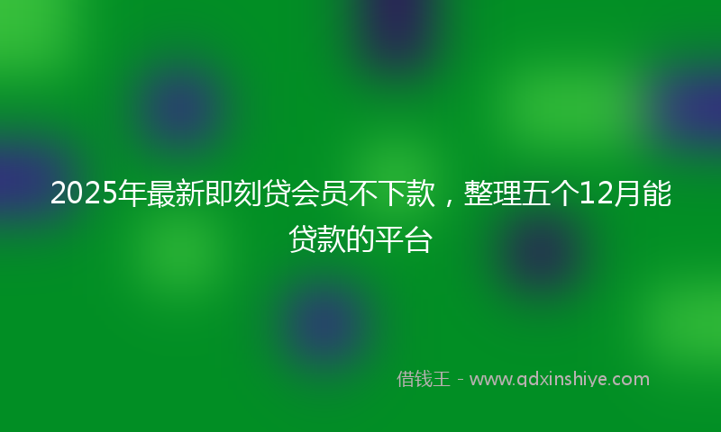 2025年最新即刻贷会员不下款，整理五个12月能贷款的平台