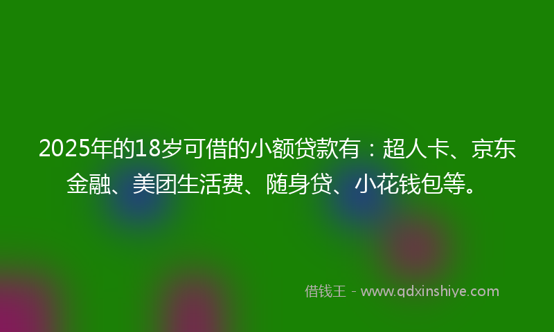 2025年的18岁可借的小额贷款有：超人卡、京东金融、美团生活费、随身贷、小花钱包等。