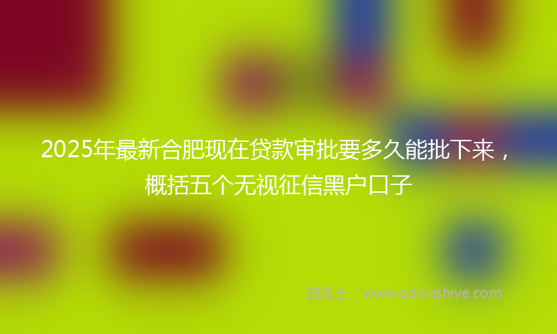 2025年最新合肥现在贷款审批要多久能批下来，概括五个无视征信黑户口子