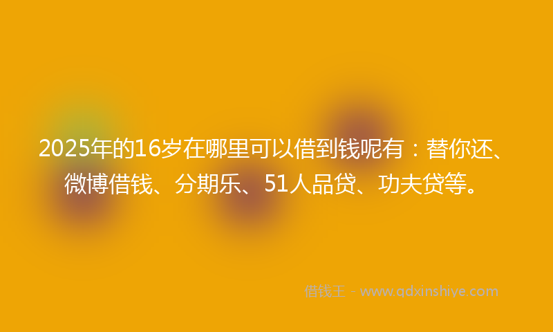 2025年的16岁在哪里可以借到钱呢有：替你还、微博借钱、分期乐、51人品贷、功夫贷等。