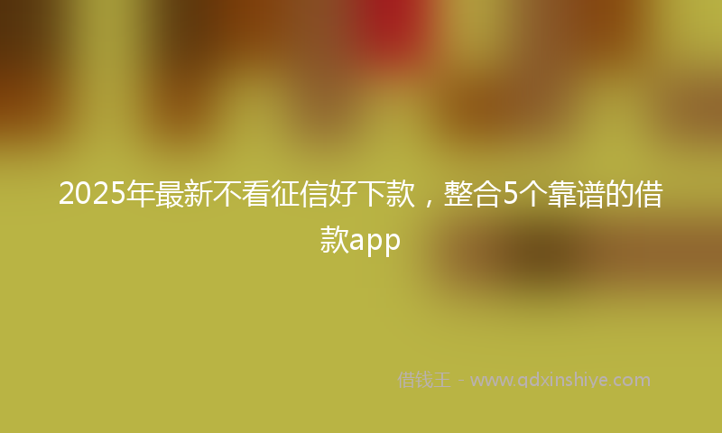 2025年最新不看征信好下款，整合5个靠谱的借款app