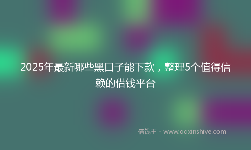 2025年最新哪些黑口子能下款，整理5个值得信赖的借钱平台