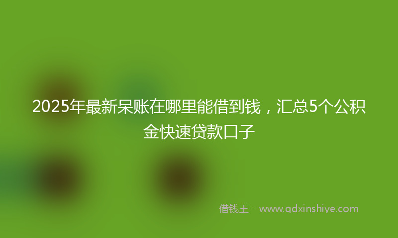 2025年最新呆账在哪里能借到钱，汇总5个公积金快速贷款口子