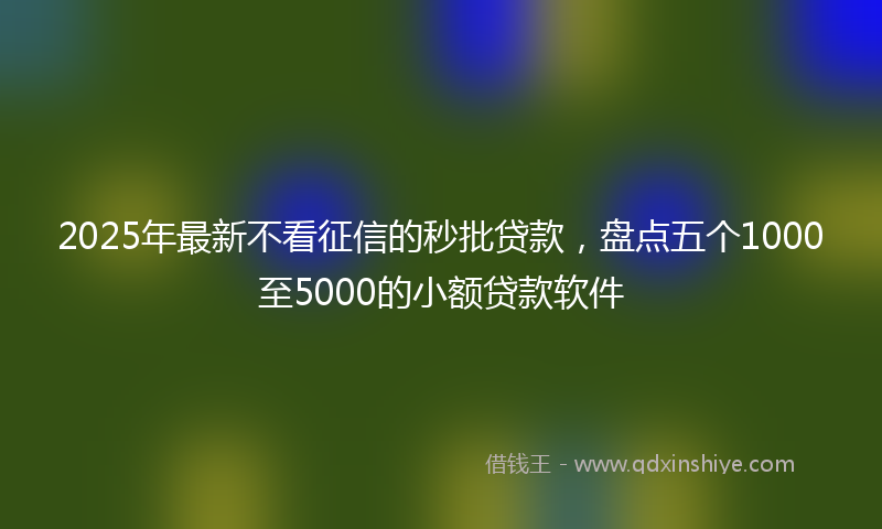 2025年最新不看征信的秒批贷款，盘点五个1000至5000的小额贷款软件