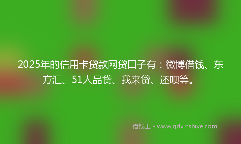 2025年的信用卡贷款网贷口子有：微博借钱、东方汇、51人品贷、我来贷、还呗等。