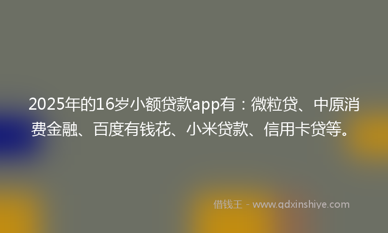 2025年的16岁小额贷款app有：微粒贷、中原消费金融、百度有钱花、小米贷款、信用卡贷等。