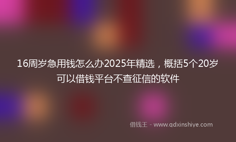 16周岁急用钱怎么办2025年精选，概括5个20岁可以借钱平台不查征信的软件