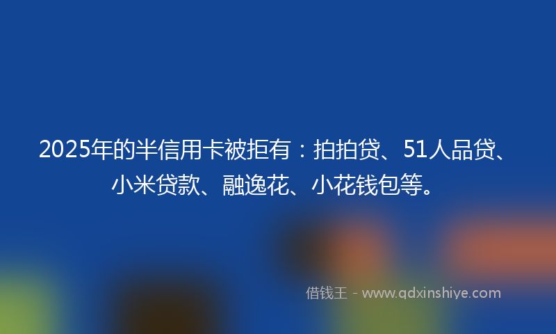 2025年的半信用卡被拒有：拍拍贷、51人品贷、小米贷款、融逸花、小花钱包等。