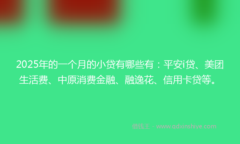 2025年的一个月的小贷有哪些有：平安i贷、美团生活费、中原消费金融、融逸花、信用卡贷等。