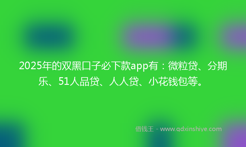 2025年的双黑口子必下款app有：微粒贷、分期乐、51人品贷、人人贷、小花钱包等。