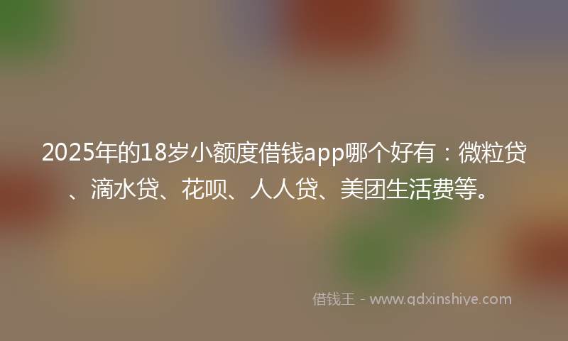 2025年的18岁小额度借钱app哪个好有：微粒贷、滴水贷、花呗、人人贷、美团生活费等。