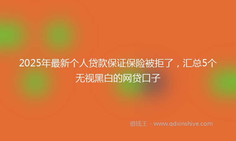 2025年最新个人贷款保证保险被拒了，汇总5个无视黑白的网贷口子