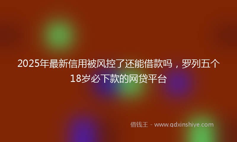 2025年最新信用被风控了还能借款吗，罗列五个18岁必下款的网贷平台