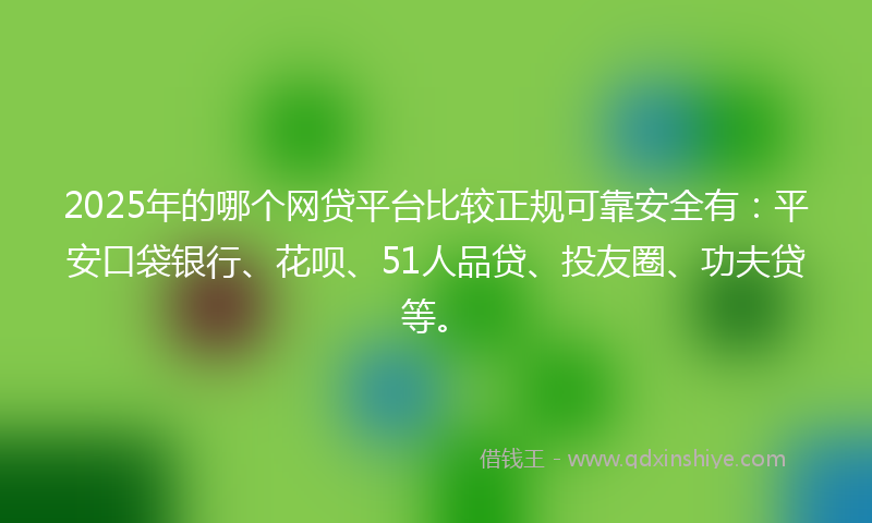 2025年的哪个网贷平台比较正规可靠安全有：平安口袋银行、花呗、51人品贷、投友圈、功夫贷等。