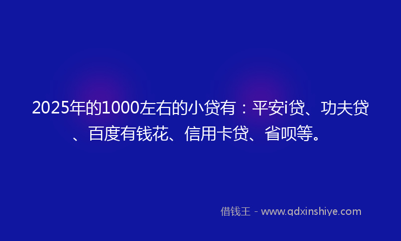 2025年的1000左右的小贷有：平安i贷、功夫贷、百度有钱花、信用卡贷、省呗等。