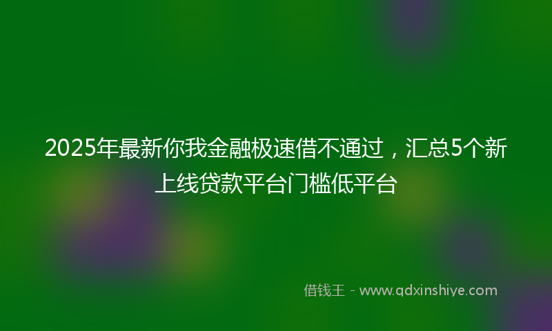 2025年最新你我金融极速借不通过，汇总5个新上线贷款平台门槛低平台